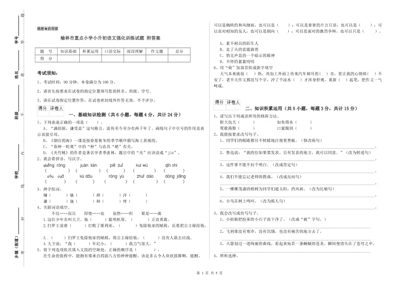 榆林市重点小学小升初语文强化训练试题 附答案.doc_第1页