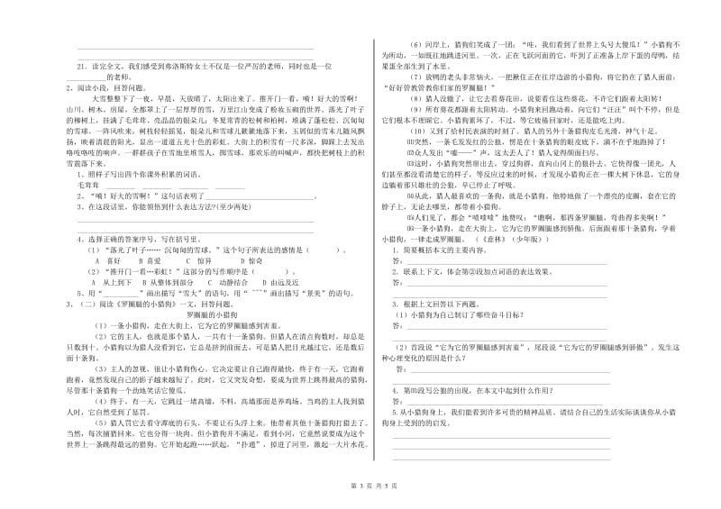 榆林市重点小学小升初语文考前检测试卷 附解析.doc_第3页