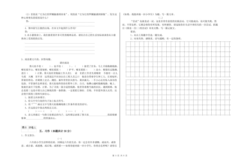 广元市实验小学六年级语文【下册】能力检测试题 含答案.doc_第3页