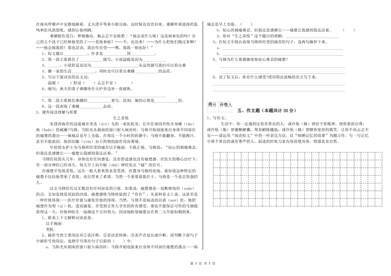 惠州市重点小学小升初语文能力检测试题 附解析.doc_第3页