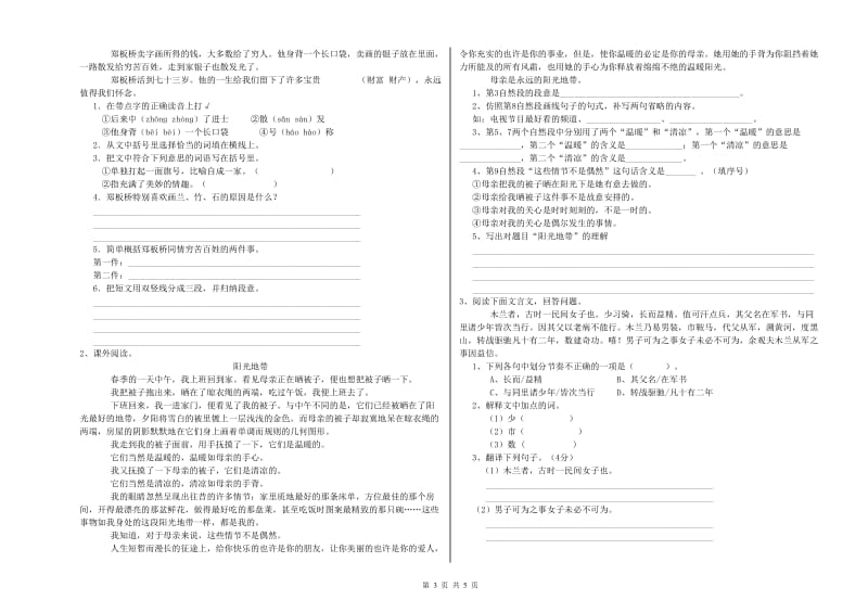 延安市重点小学小升初语文过关检测试题 含答案.doc_第3页