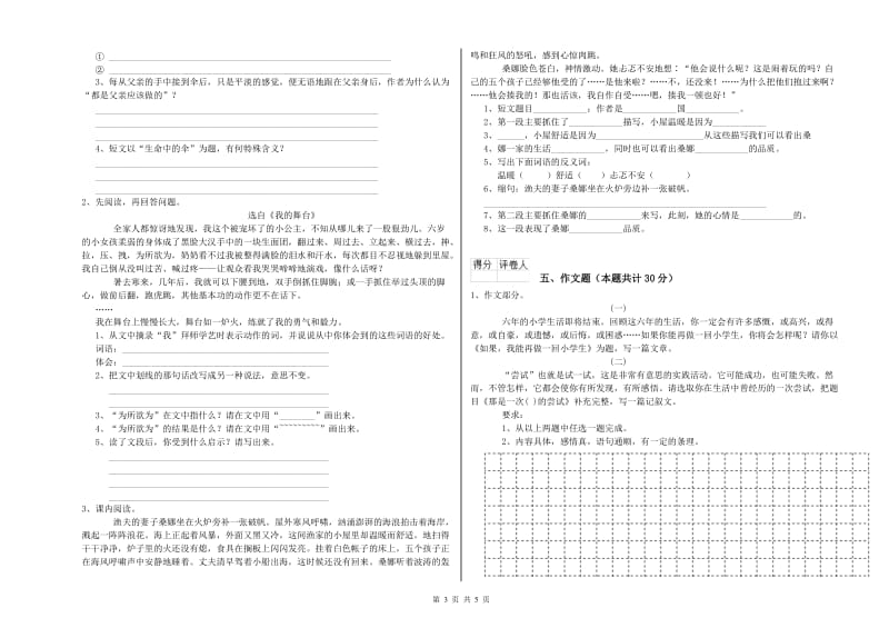 文山壮族苗族自治州重点小学小升初语文考前练习试题 附答案.doc_第3页