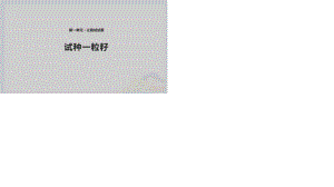 2020春季人教部編版 《道德與法治》 二年級下冊課件第一單元讓我試試看4 試種一粒籽 課件（共10張PPT）