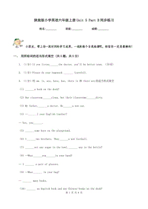 陜旅版小學(xué)英語六年級(jí)上冊Unit 5 Part B同步練習(xí).doc