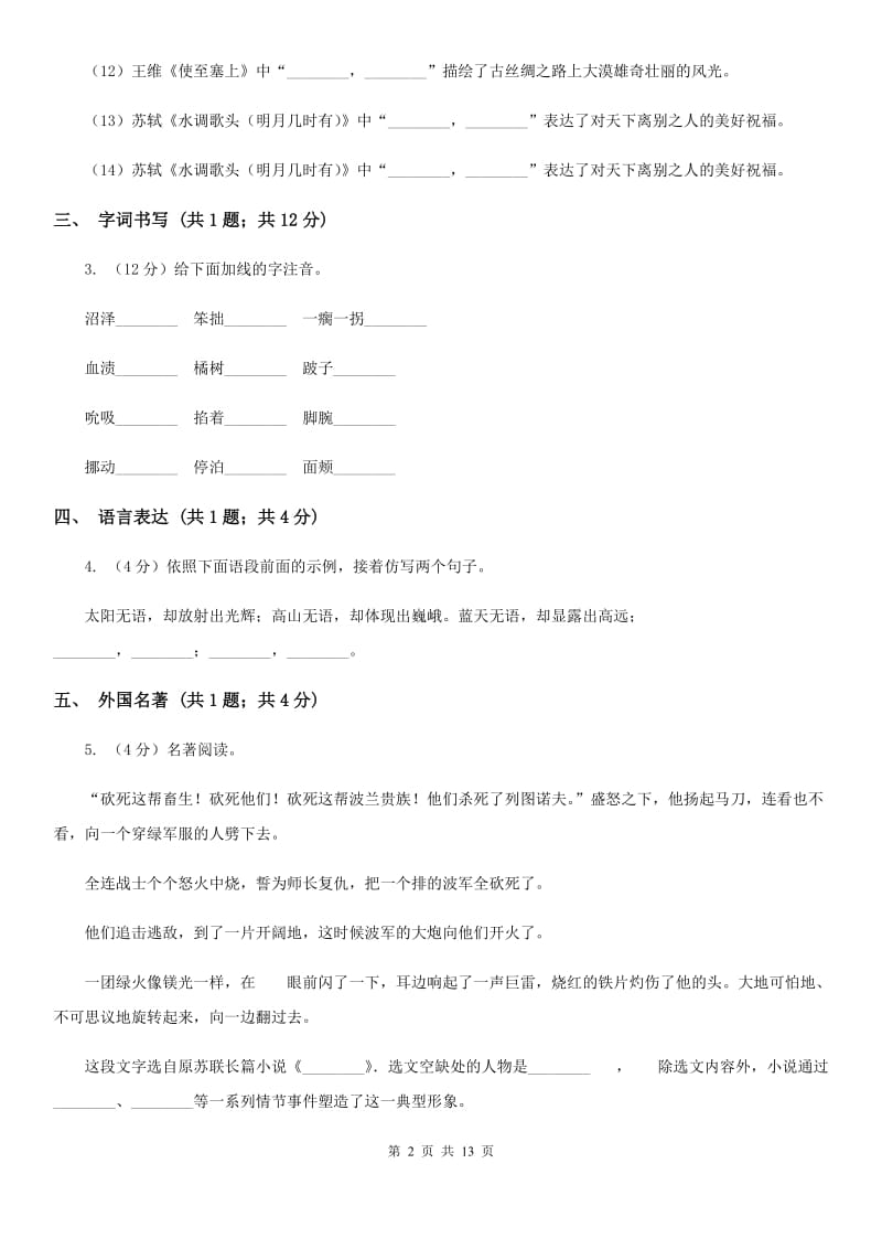 人教版2020届九年级语文一轮复习综合模拟卷（二）D卷.doc_第2页