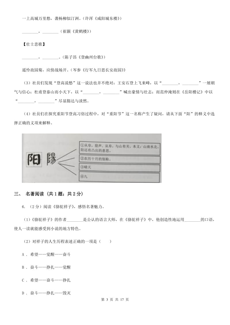 新人教版2020届九年级语文升学大考试卷（一）D卷.doc_第3页