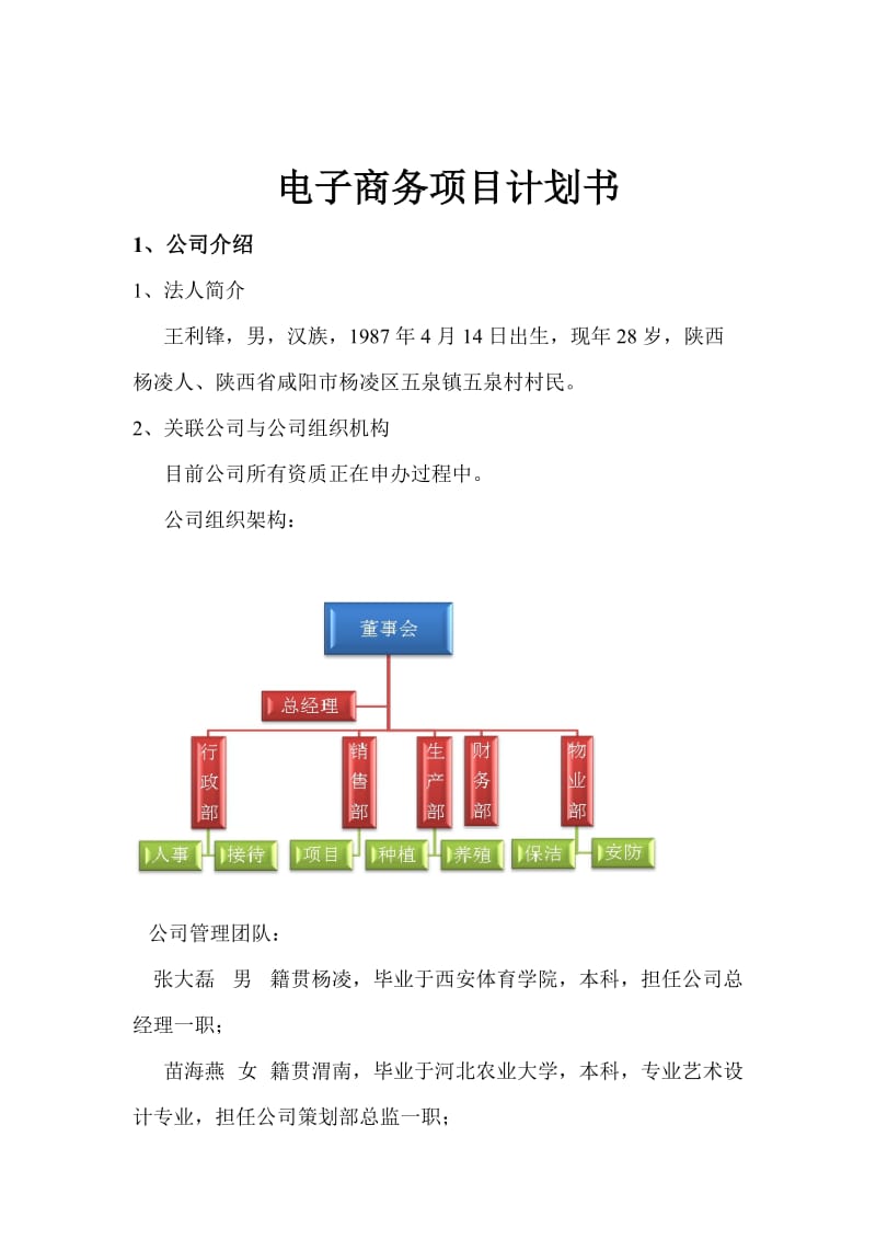 农产品电商项目计划书_第1页