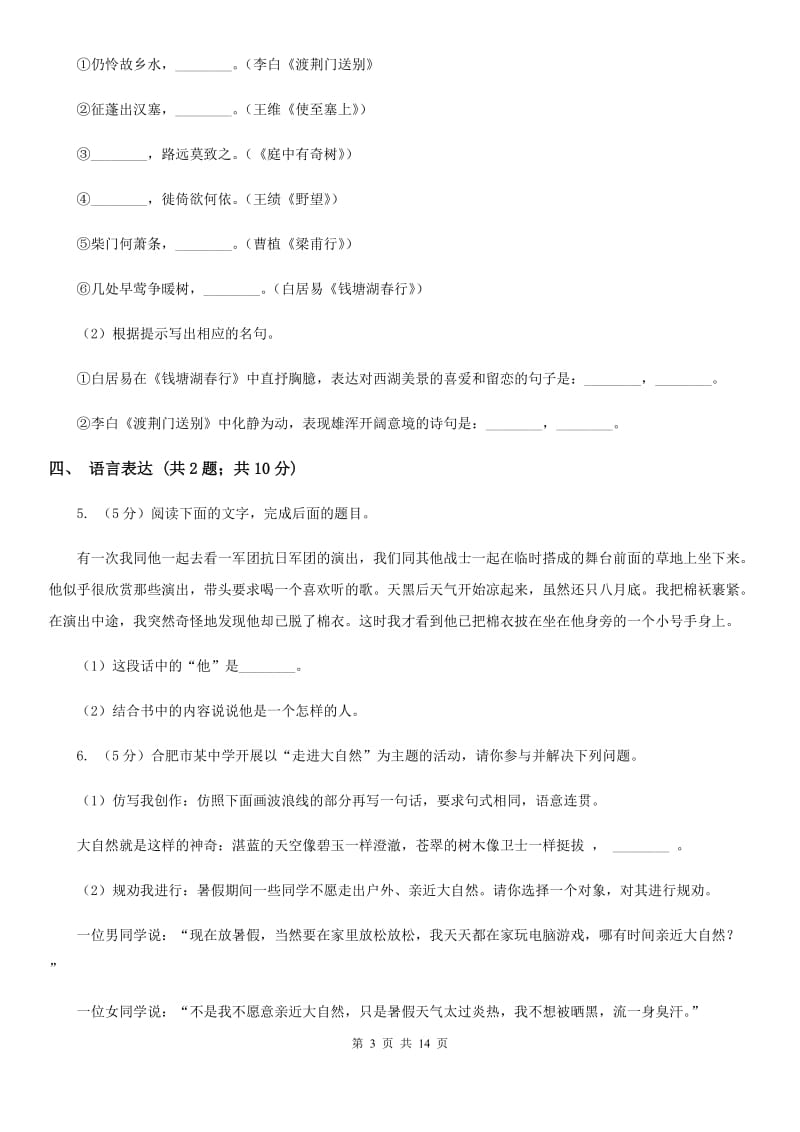 河大版2020届九年级语文初中毕业升学模拟考试试卷A卷.doc_第3页