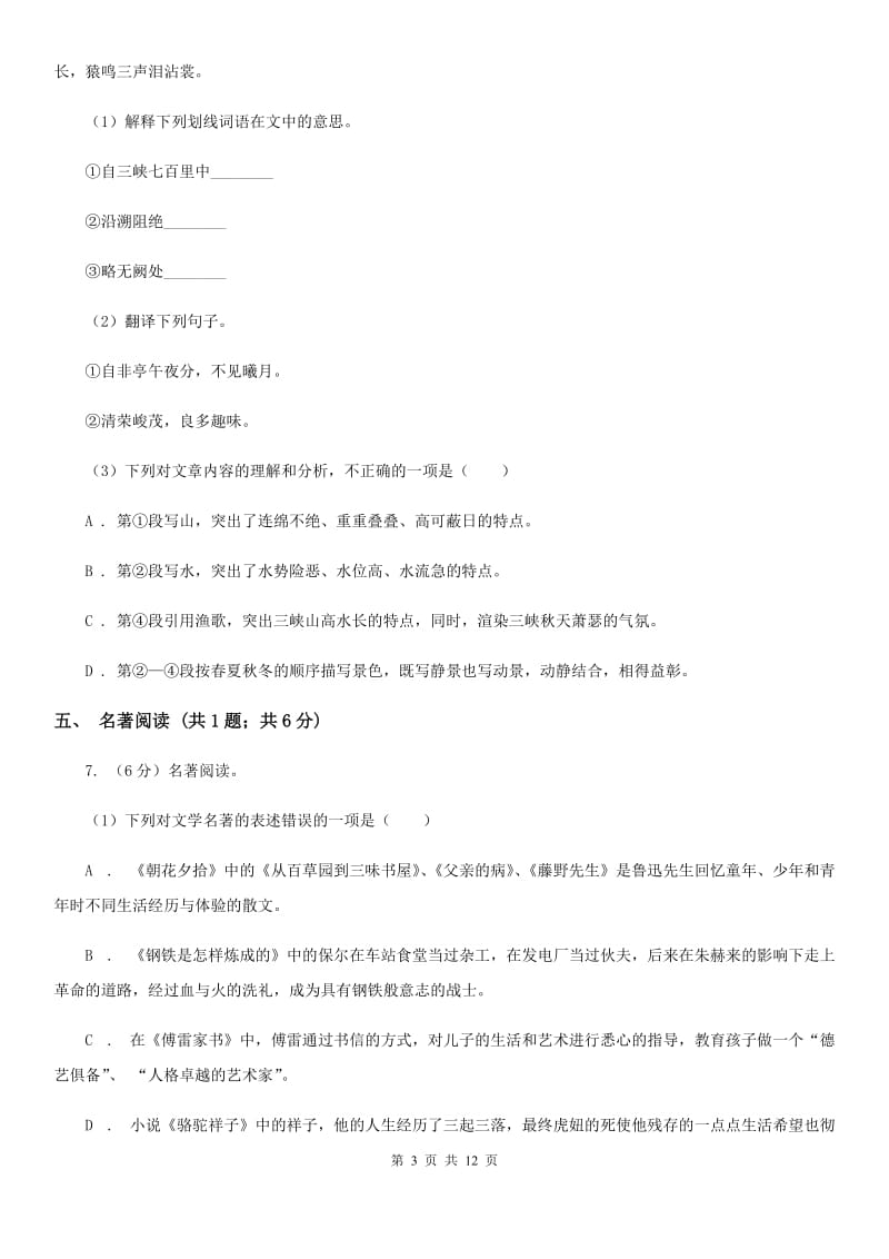 河大版2020届九年级下学期语文中考复习试卷（I）卷.doc_第3页