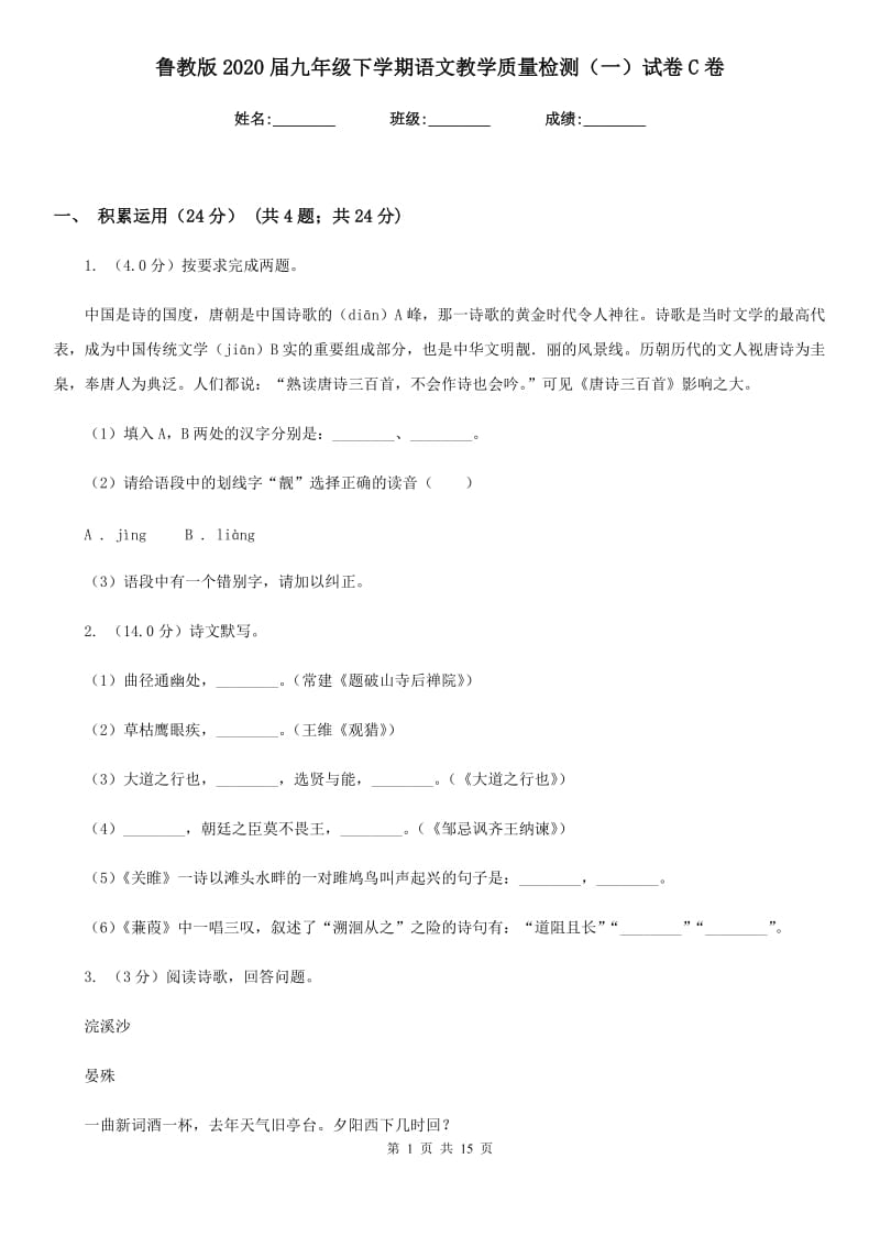 鲁教版2020届九年级下学期语文教学质量检测（一）试卷C卷.doc_第1页