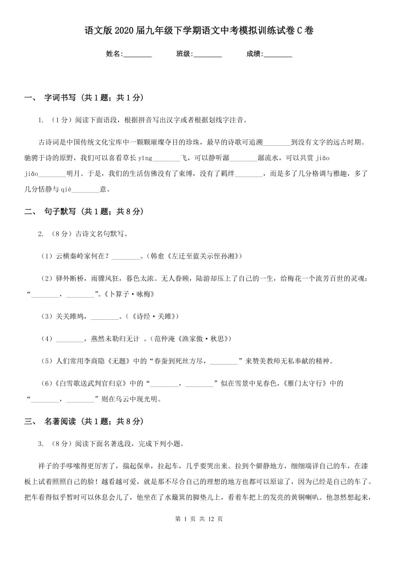 语文版2020届九年级下学期语文中考模拟训练试卷C卷.doc_第1页