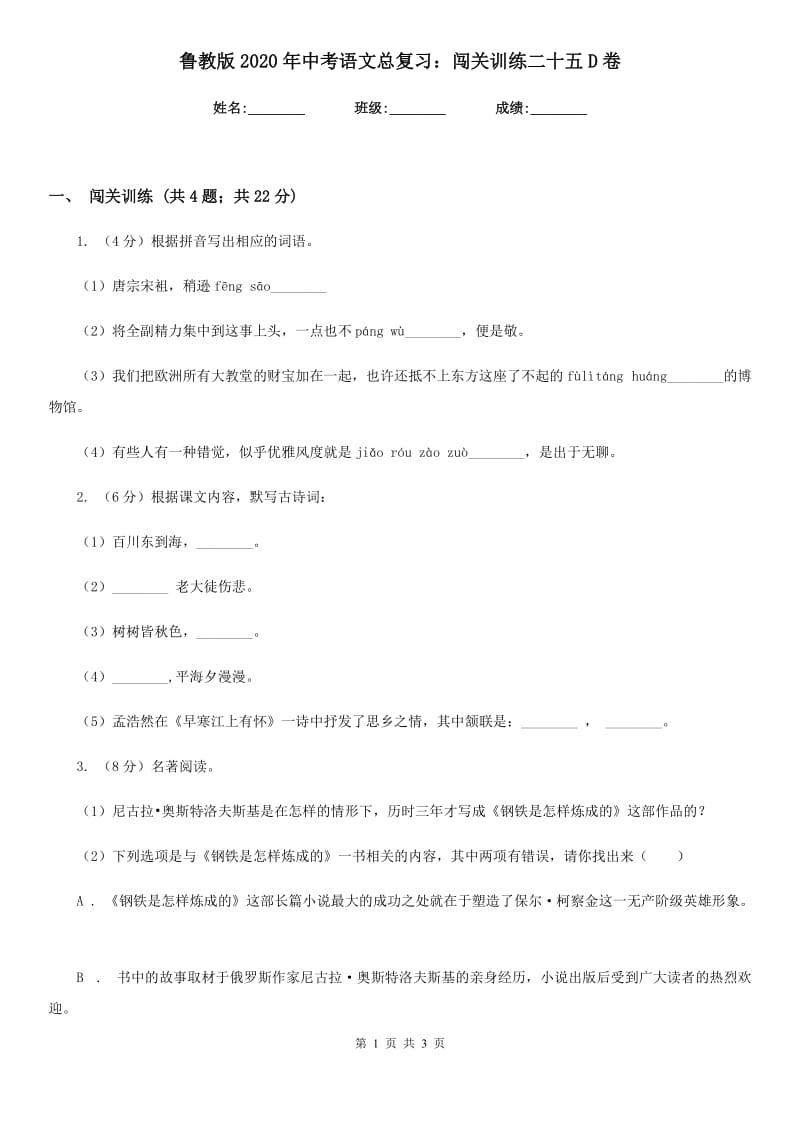 鲁教版2020年中考语文总复习：闯关训练二十五D卷.doc_第1页