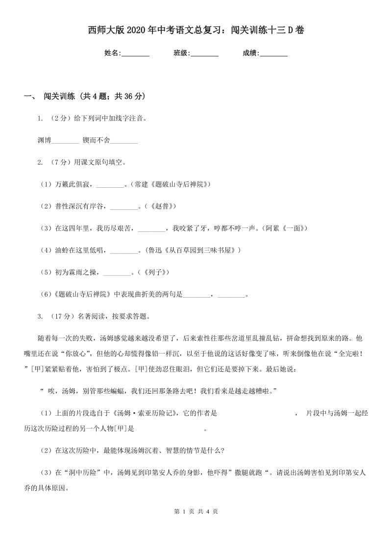 西师大版2020年中考语文总复习：闯关训练十三D卷.doc_第1页