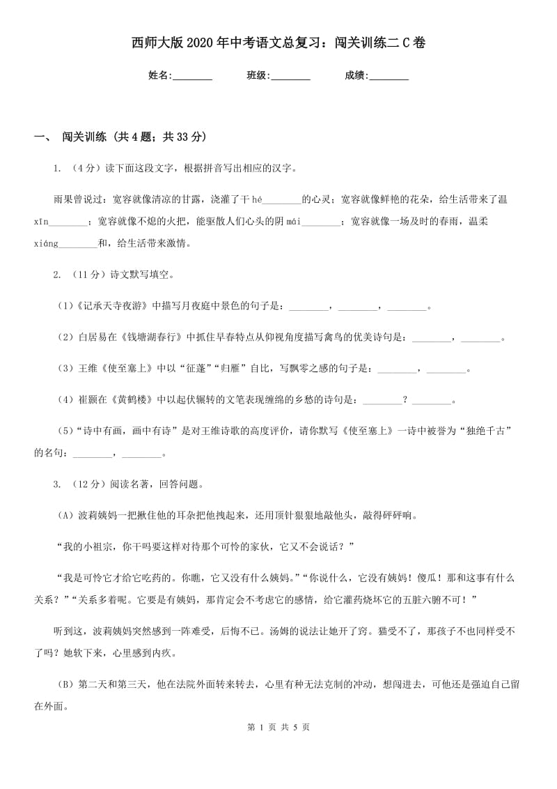 西师大版2020年中考语文总复习：闯关训练二C卷.doc_第1页