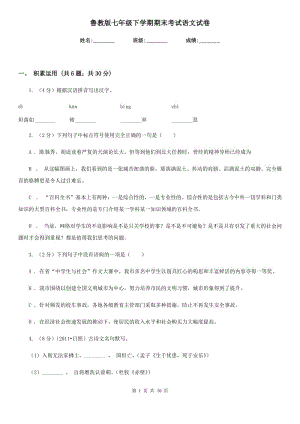 魯教版七年級下學(xué)期期末考試語文試卷.doc