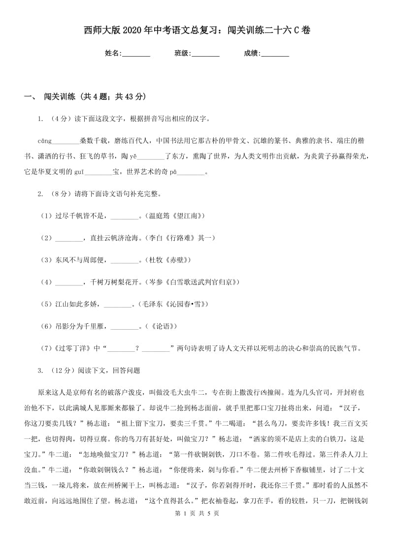 西师大版2020年中考语文总复习：闯关训练二十六C卷.doc_第1页