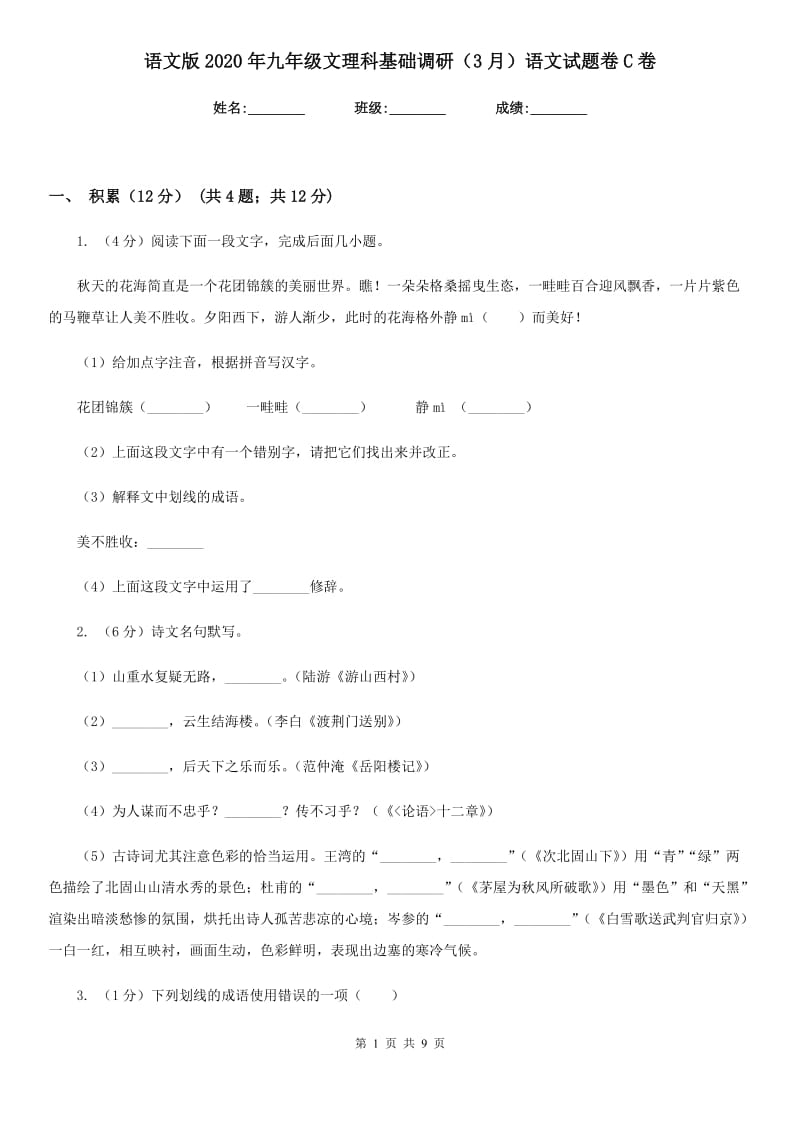 语文版2020年九年级文理科基础调研（3月）语文试题卷C卷.doc_第1页