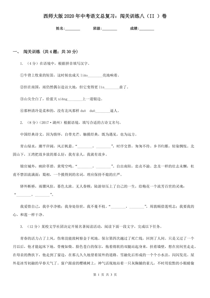 西师大版2020年中考语文总复习：闯关训练八（II ）卷.doc_第1页