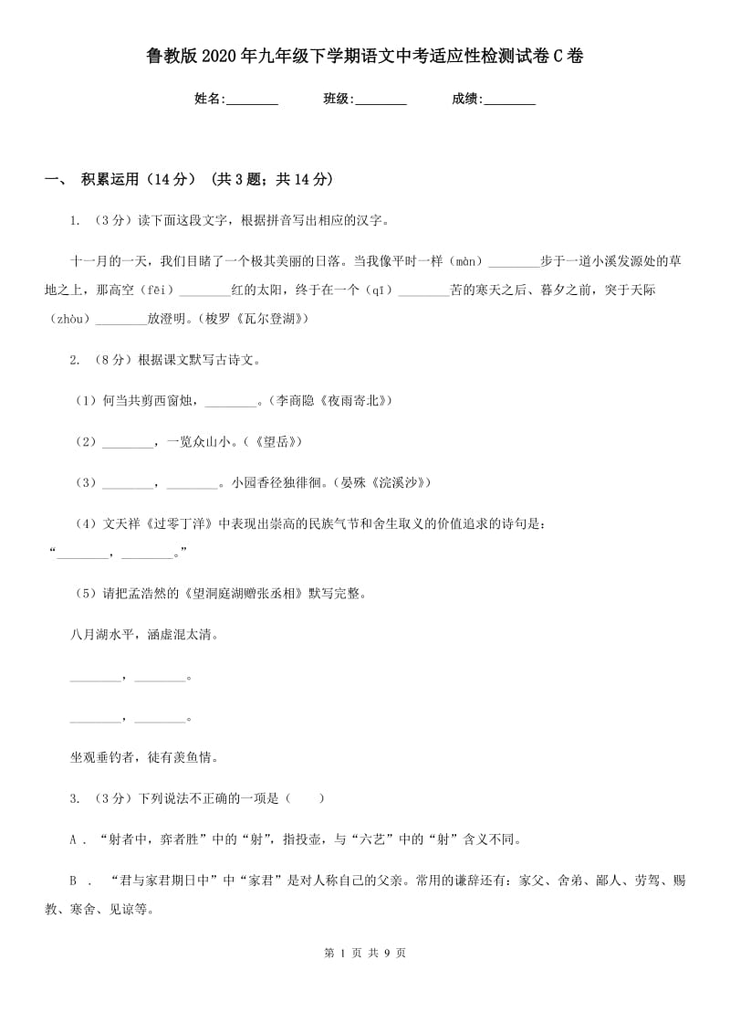 鲁教版2020年九年级下学期语文中考适应性检测试卷C卷.doc_第1页