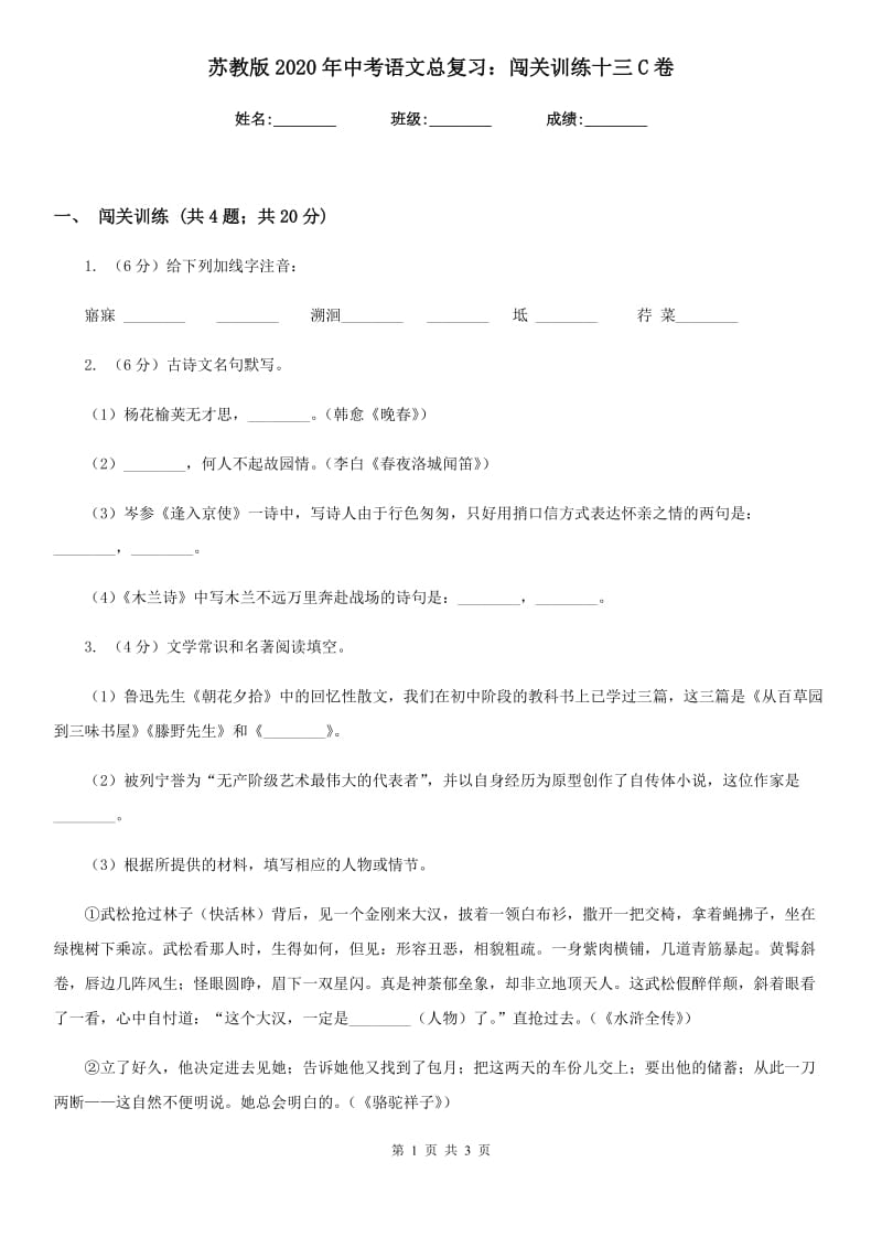 苏教版2020年中考语文总复习：闯关训练十三C卷.doc_第1页