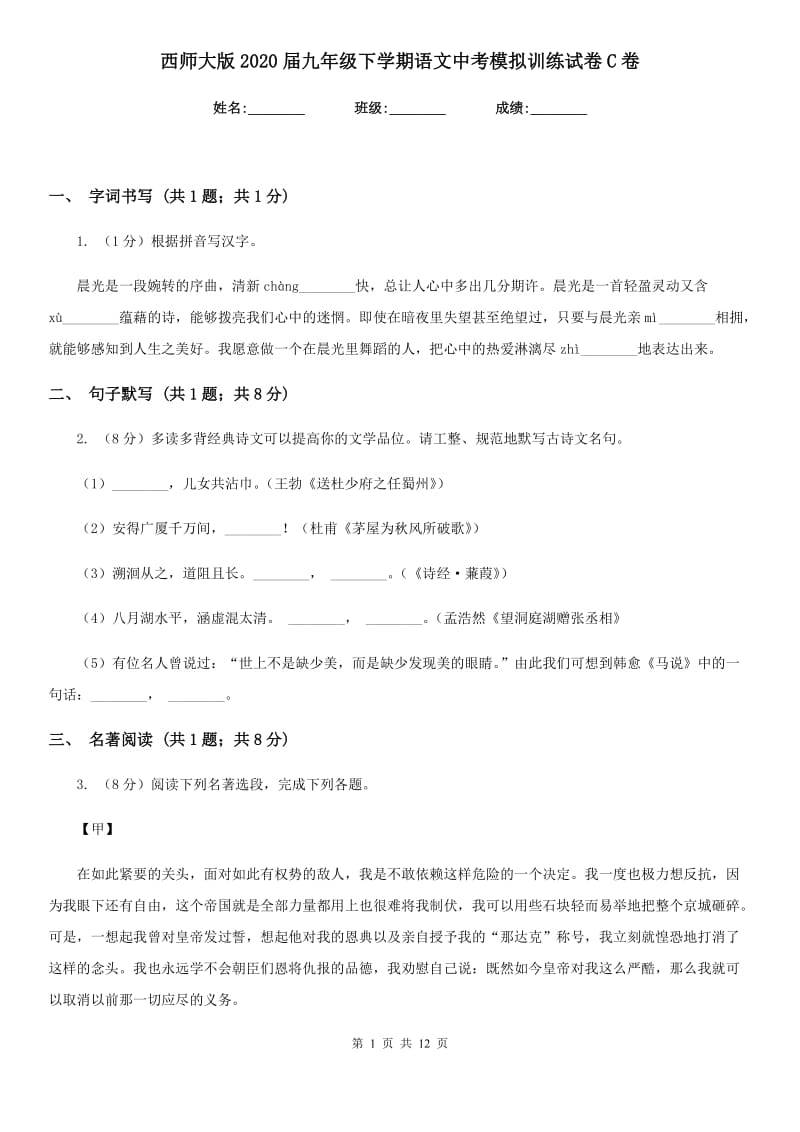 西师大版2020届九年级下学期语文中考模拟训练试卷C卷.doc_第1页