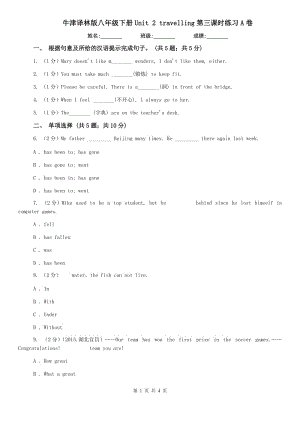 牛津譯林版八年級下冊Unit 2 travelling第三課時練習(xí)A卷.doc