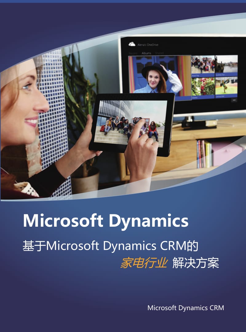 基于Microsoft Dynamics CRM的家电行业解决方案_第1页