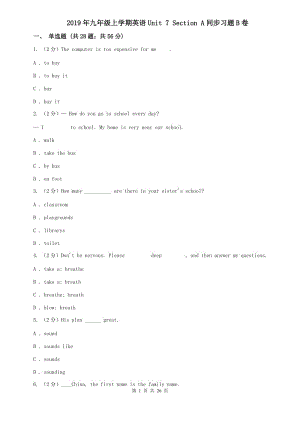 2019年九年級上學期英語Unit 7 Section A同步習題B卷.doc