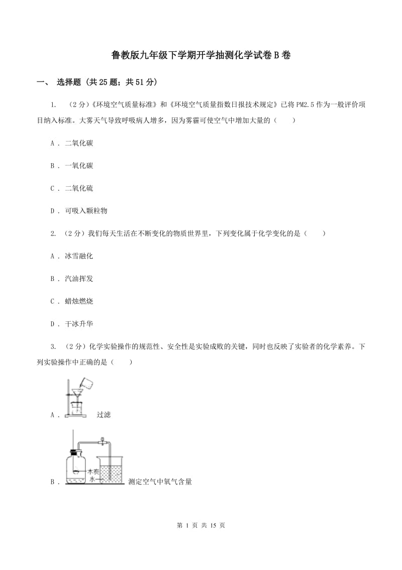 鲁教版九年级下学期开学抽测化学试卷B卷.doc_第1页