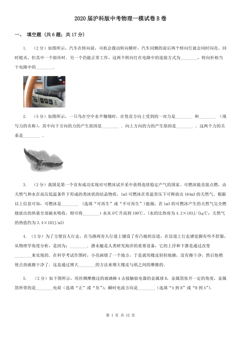 2020届沪科版中考物理一模试卷B卷.doc_第1页