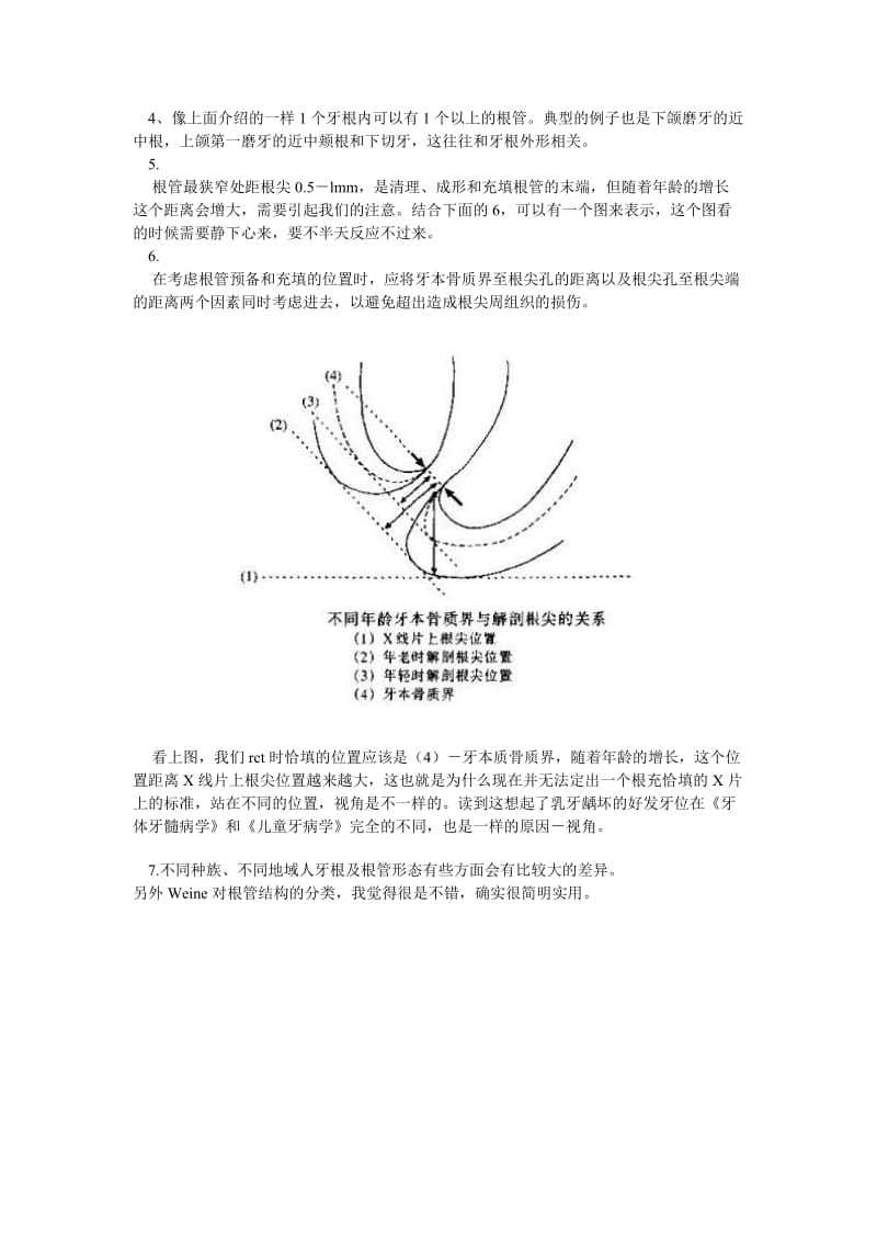 【口腔医学总结】深入学习总结根管治疗_第2页