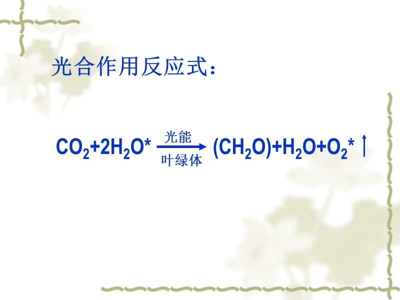 《光合作用的过程》PPT课件.ppt_第1页