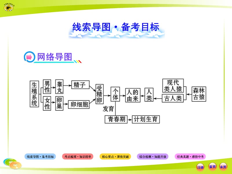 《人的由来复习》PPT课件.ppt_第2页