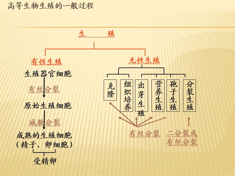 DNA是主要的遗传物质(教学课件).ppt_第1页