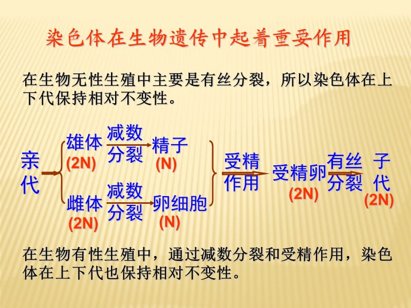 DNA是主要的遗传物质(教学课件).ppt_第2页