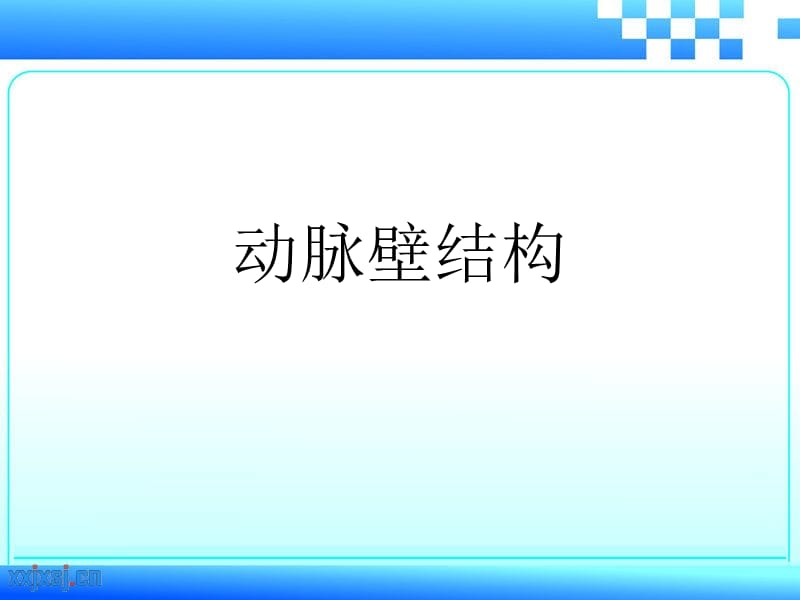 《主动脉壁结构》PPT课件.ppt_第1页