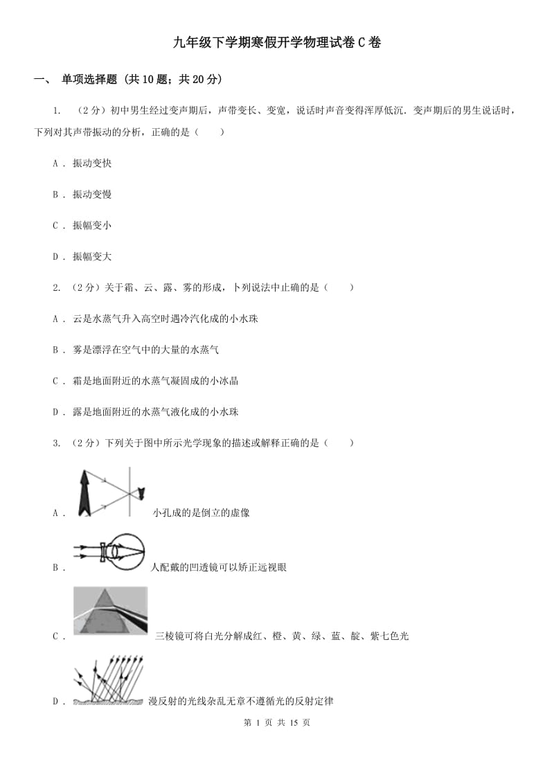 九年级下学期寒假开学物理试卷C卷.doc_第1页