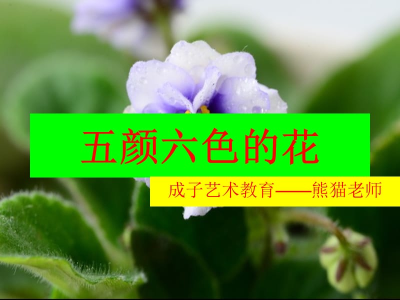 《五顏六色的花兒》PPT課件.ppt_第1頁(yè)