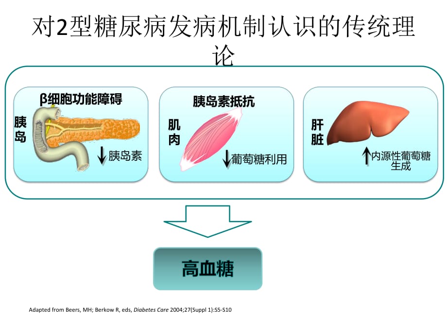 GLP-1相关背景幻灯.ppt_第1页