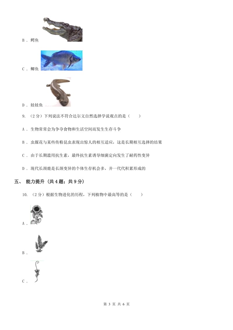 初中科学浙教版九年级下册1.4生物的进化（第2课时）（II）卷.doc_第3页