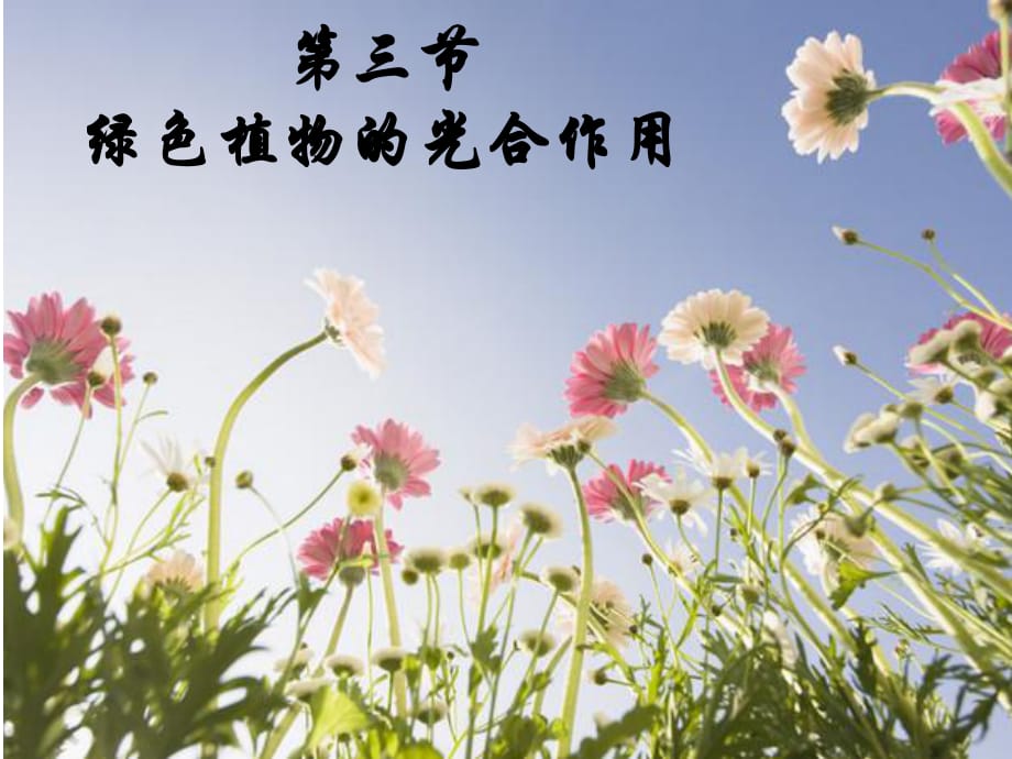 濟(jì)南版《綠色植物的光合作用】.ppt_第1頁(yè)