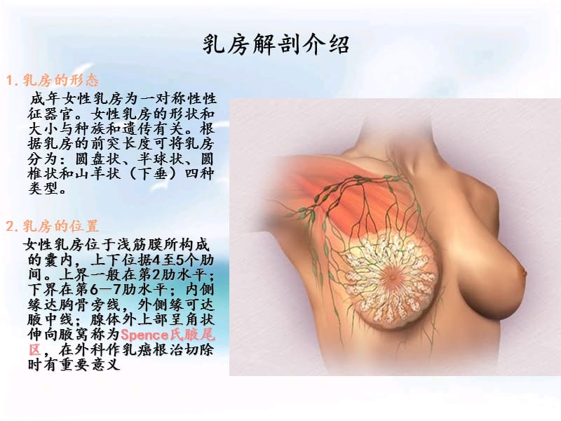 急性乳腺炎护理ppt课件.ppt_第3页