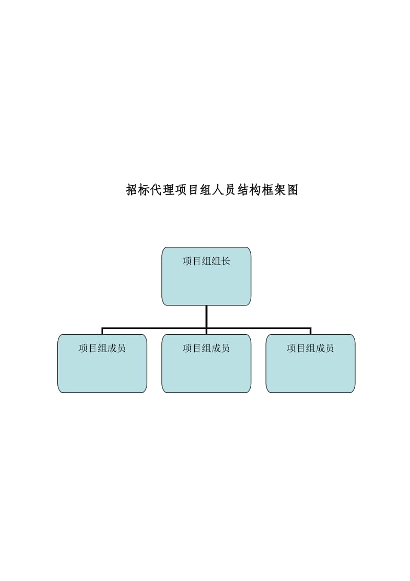 招标代理服务实施方案.doc_第3页