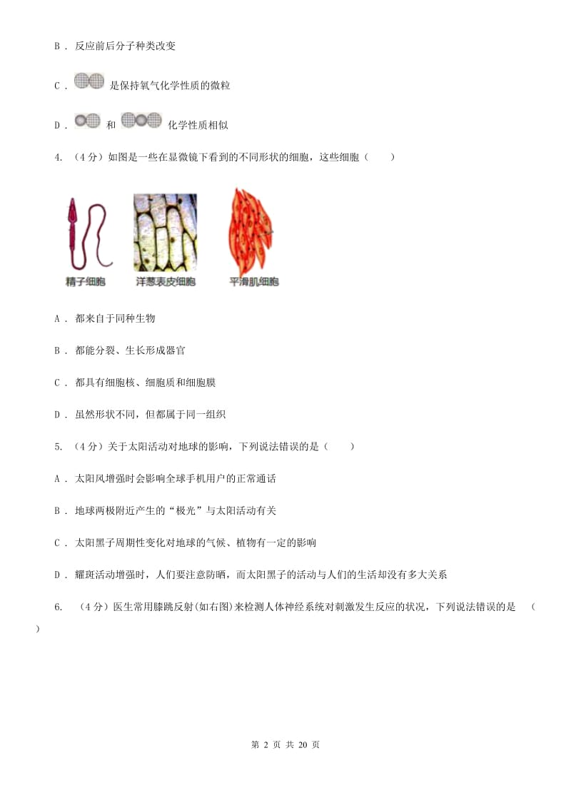 华师大版2019-2020学年九年级下学期科学模拟考试试卷C卷.doc_第2页