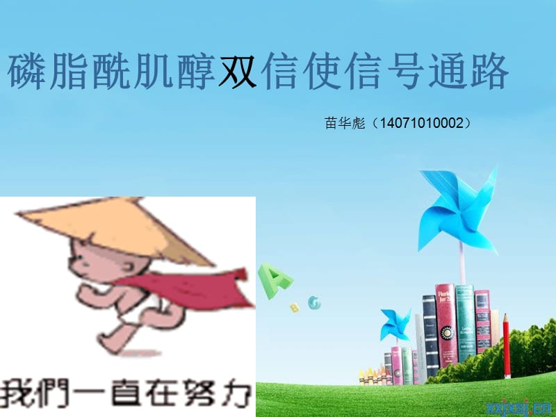 《磷脂酰肌醇途径》PPT课件.ppt_第1页