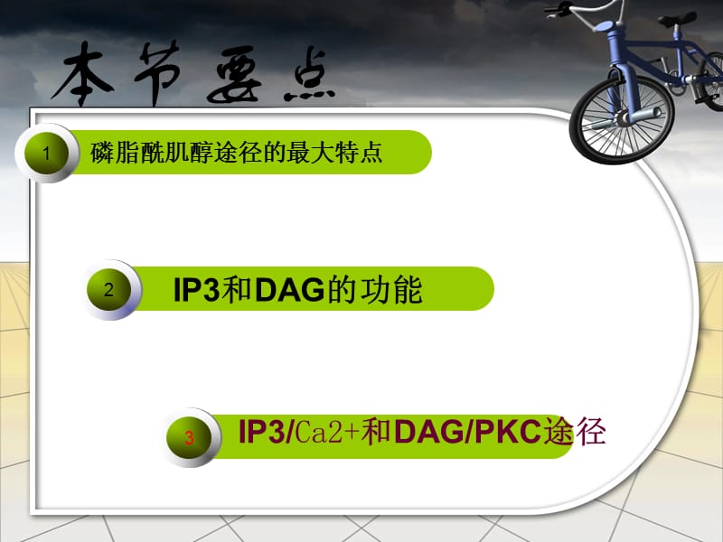 《磷脂酰肌醇途径》PPT课件.ppt_第2页