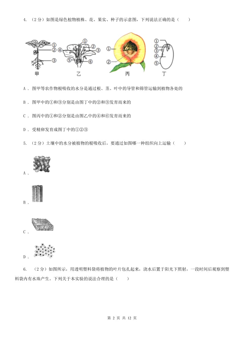 中考复习专题04：无机盐和水对植物生长的作用A卷.doc_第2页