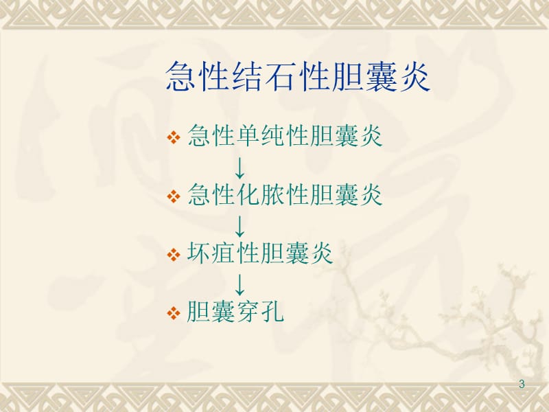 《急性重症胆管炎》PPT课件.ppt_第3页