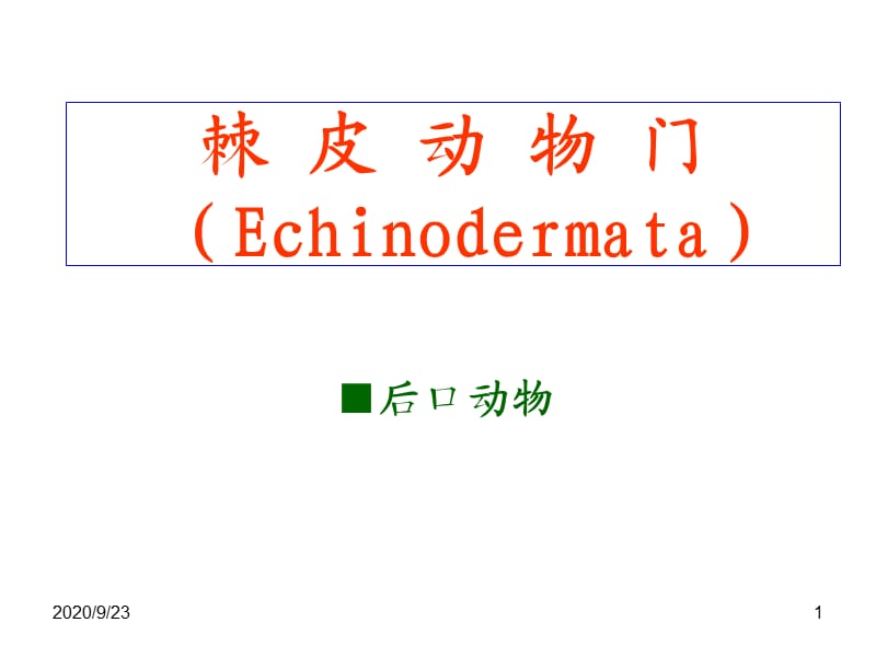 《棘皮動(dòng)物門》PPT課件.ppt_第1頁