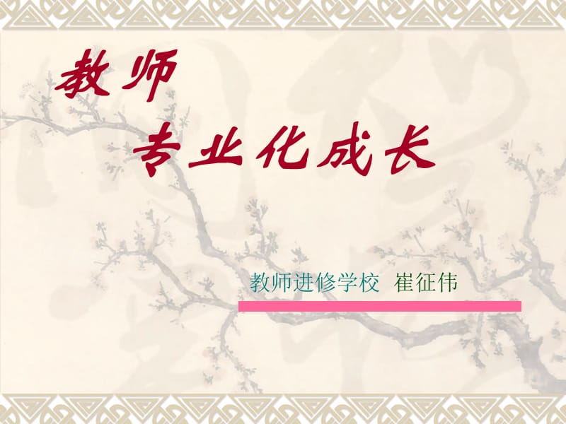 《教师专业成长》PPT课件.ppt_第3页